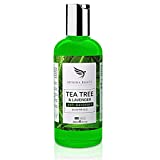 Shampoing Antipelliculaire Professionnel Arbre à Thé- [Made In UK] Thérapie Grade | Apaise le Cuir chevelu Parfait Pour Lutter Contre Les Démangeaisons Anti-Pelliculaire Prévient les Poux | 250ml
